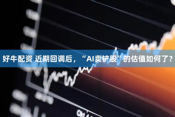 好牛配资 近期回调后，“AI卖铲股”的估值如何了？