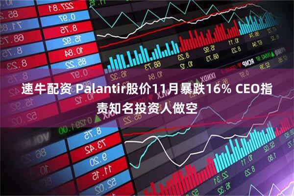 速牛配资 Palantir股价11月暴跌16% CEO指责知名投资人做空