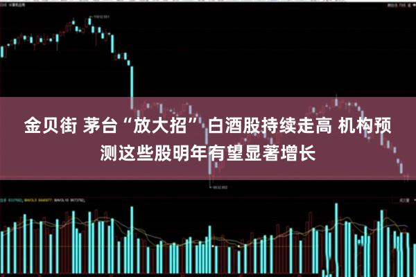 金贝街 茅台“放大招” 白酒股持续走高 机构预测这些股明年有望显著增长