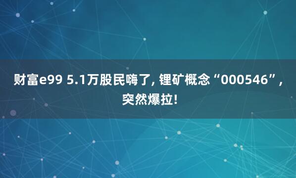 财富e99 5.1万股民嗨了, 锂矿概念“000546”, 突然爆拉!